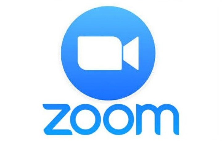 Zoom Logo